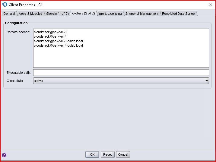 Cluster client Globals (2 of 2).